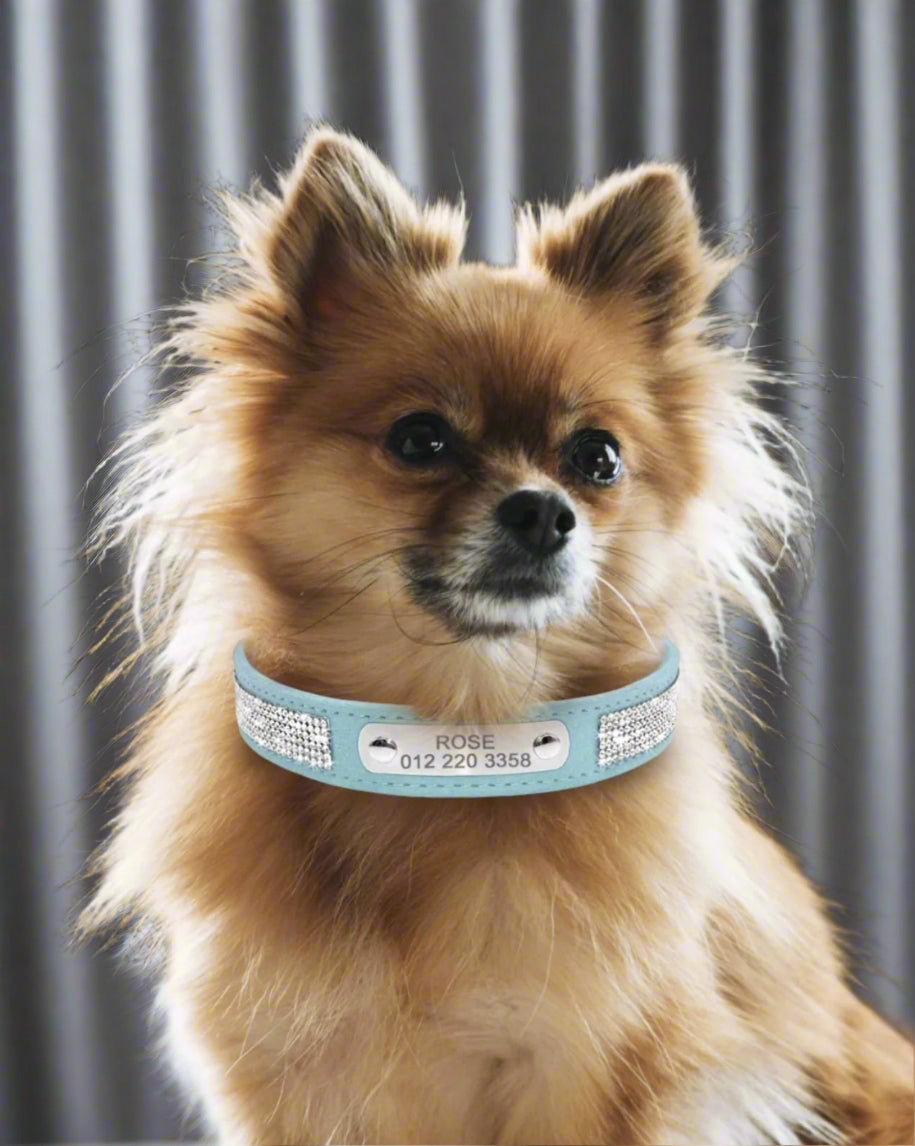 Bedazzled Custom Nameplate Collar