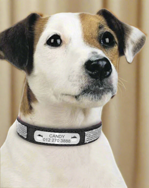 Bedazzled Custom Nameplate Collar